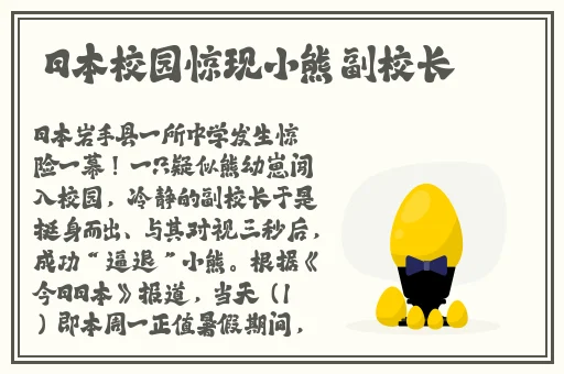MD传媒有限公司